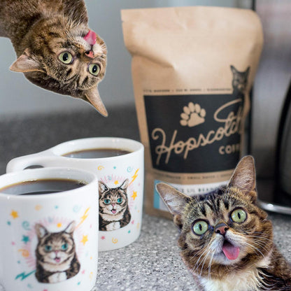 Lil BUB's Lil Beans Coffee - FRESH BATCH!