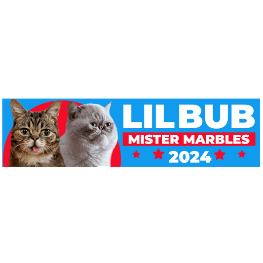 2024 Election Bumper Sticker