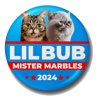 2024 Election Button